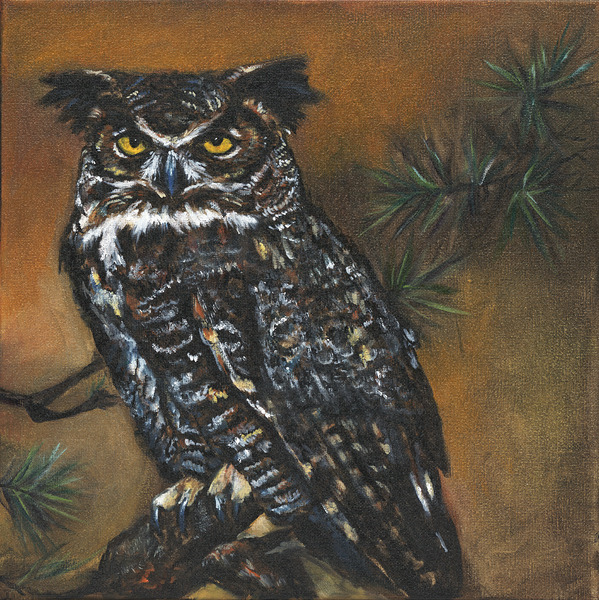 Owl by Maureen Wood
