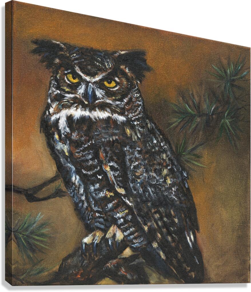 Owl  Impression sur toile